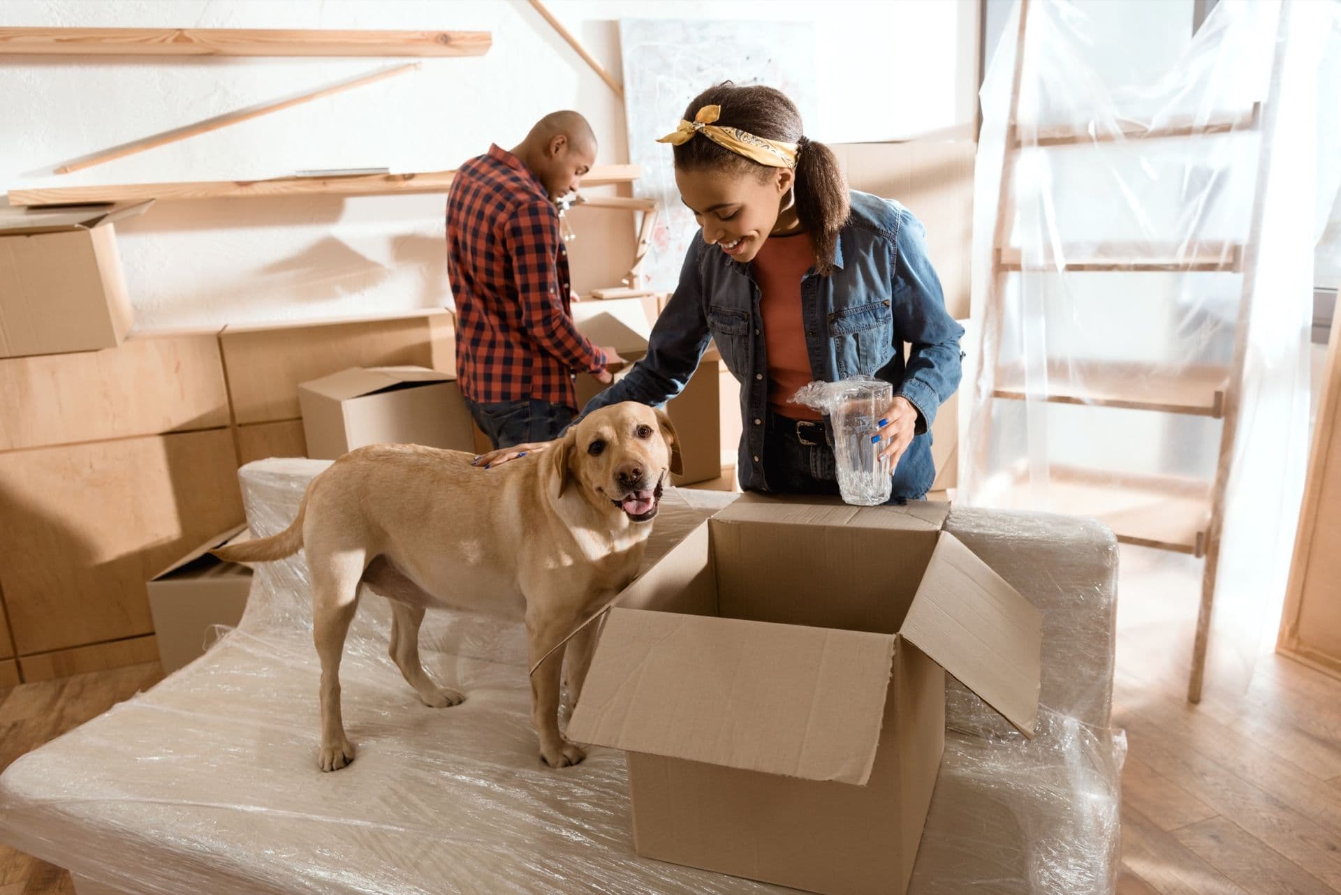Family with dog preparing for pet relocation